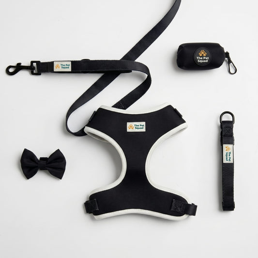 5-Piece Black & White Dog Accessories Set – Harness, Lead & Bow Tie