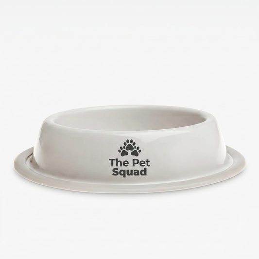 Cat Food Bowl
